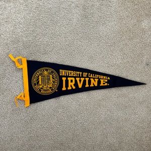 UC Irvine (UCI) Pennant Flag